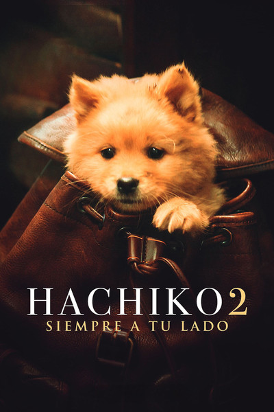Póster de Hachiko