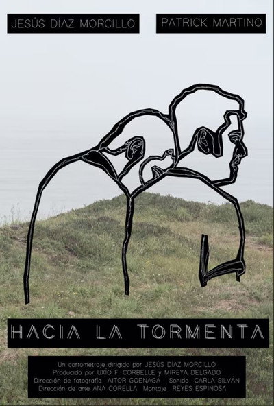 Póster de Hacia la tormenta