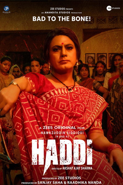 Póster de Haddi