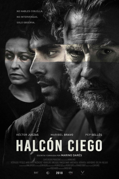 Póster de Halcón Ciego