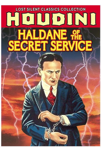 Póster de Haldane of the Secret Service