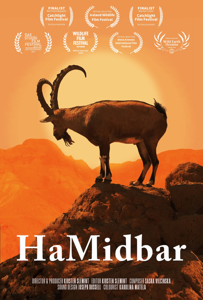 Póster de HaMidbar