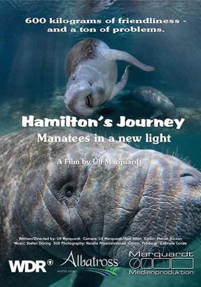 Póster de Hamilton's Journey: Manatees in a New Light