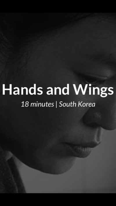 Póster de Hands and Wings