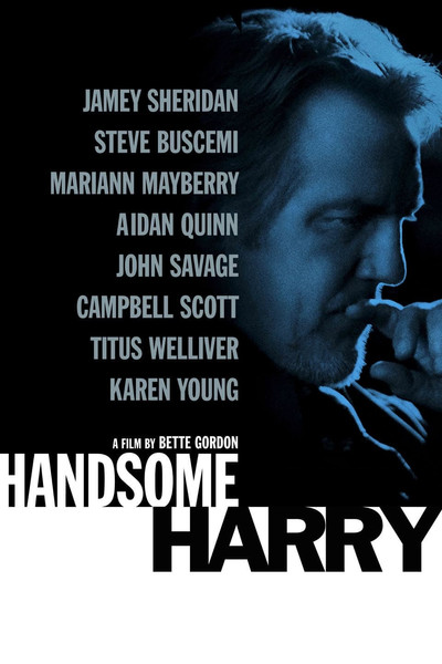 Póster de Handsome Harry