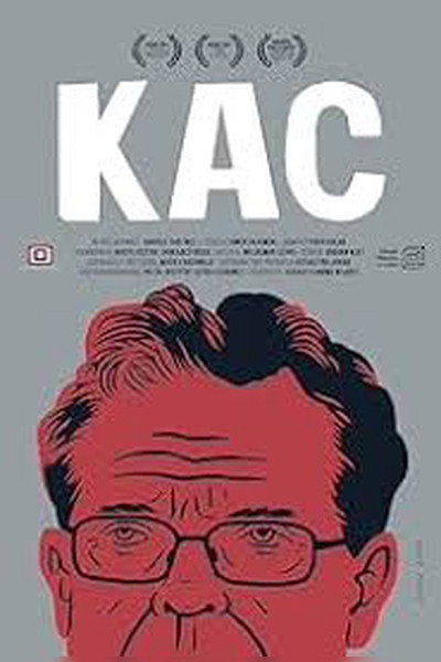Póster de Hangover