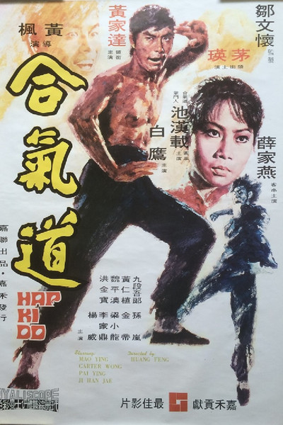 Póster de Hapkido