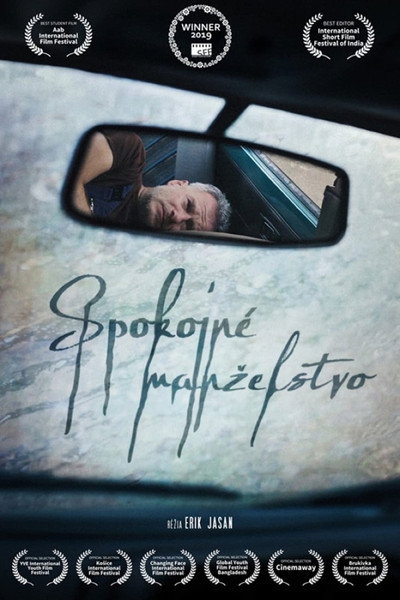 Póster de Happy Marriage