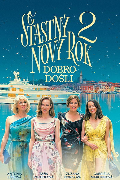 Póster de Happy New Year 2