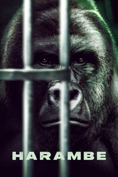 Póster de Harambe