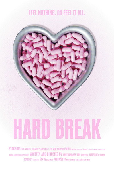 Póster de Hard Break