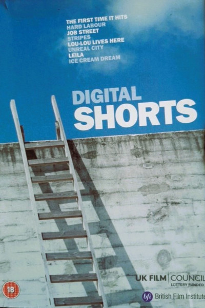 Póster de Hard Labour