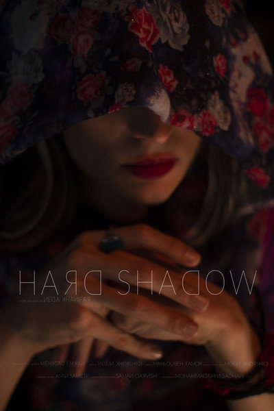 Póster de Hard Shadow