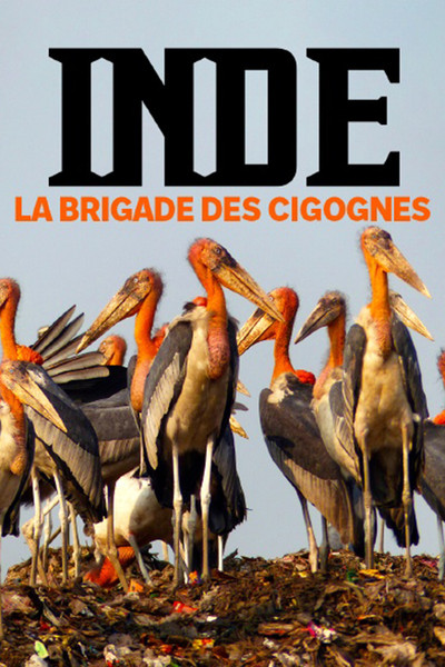 Póster de Hargila - Der Storch und die Frauen