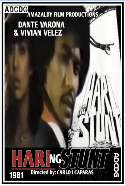 Póster de Hari ng stunt