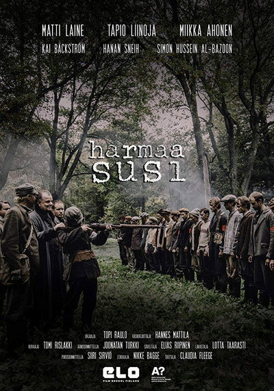 Póster de Harmaa susi
