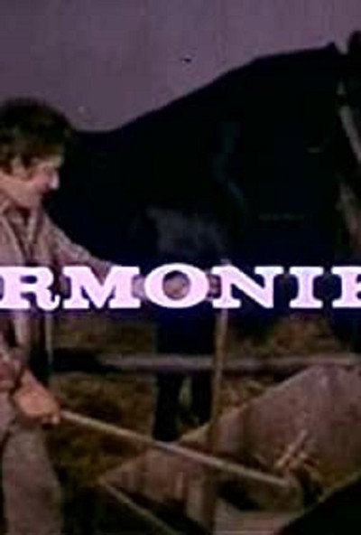 Póster de Harmonika