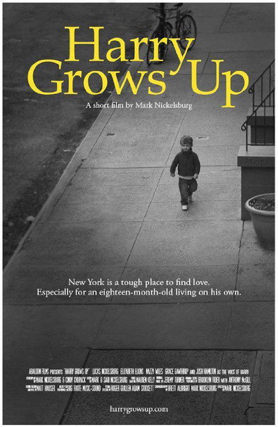 Póster de Harry Grows Up