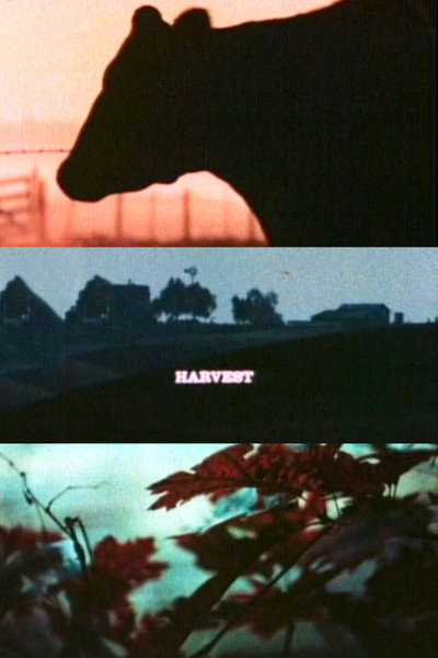Póster de Harvest