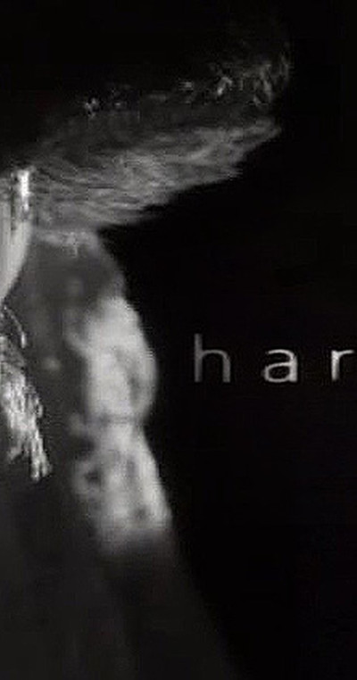 Póster de Harvey