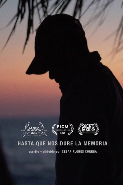 Póster de Hasta que nos dure la memoria