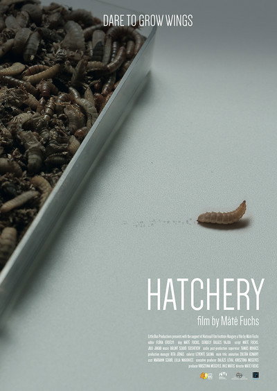 Póster de Hatchery