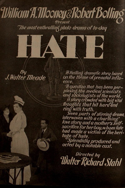 Póster de Hate