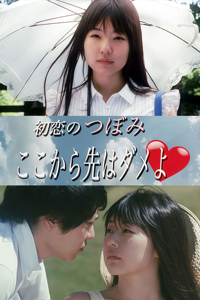 Póster de Hatsu koi no Tsubomi: Koko kara saki wa dame yo