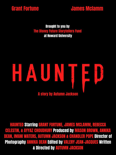 Póster de Haunted