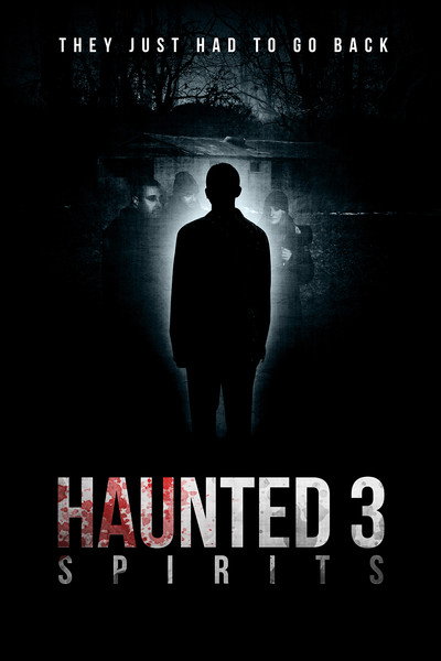 Póster de Haunted 3: Spirits