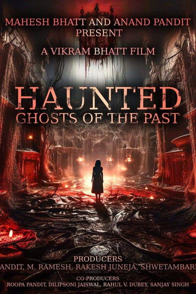 Póster de Haunted 3D: Echoes of the Past