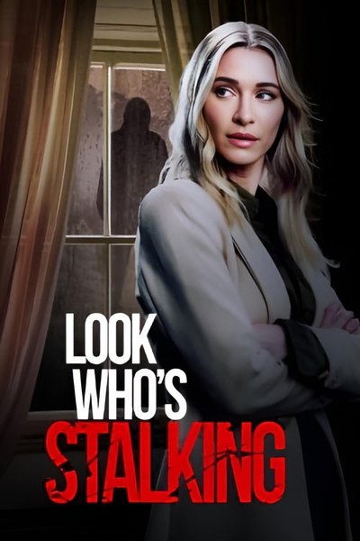 Póster de Haunted by My Stalker