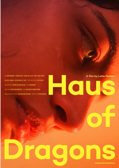 Póster de Haus of Dragons