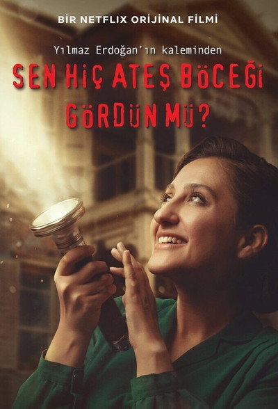 Póster de Have You Ever Seen Fireflies?