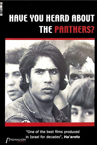 Póster de Have You Heard About the Panthers?