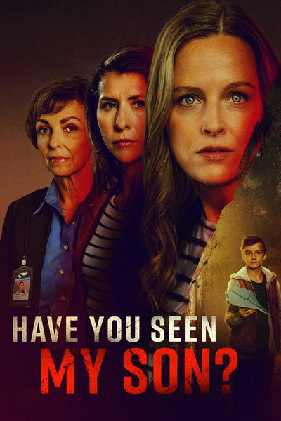 Póster de Have You Seen My Son?
