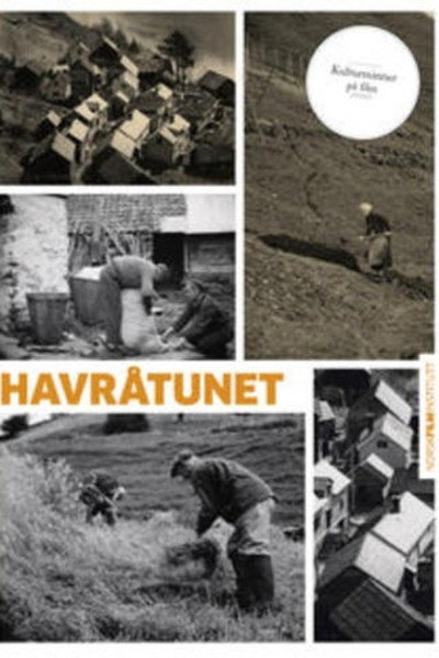 Póster de Havråtunet