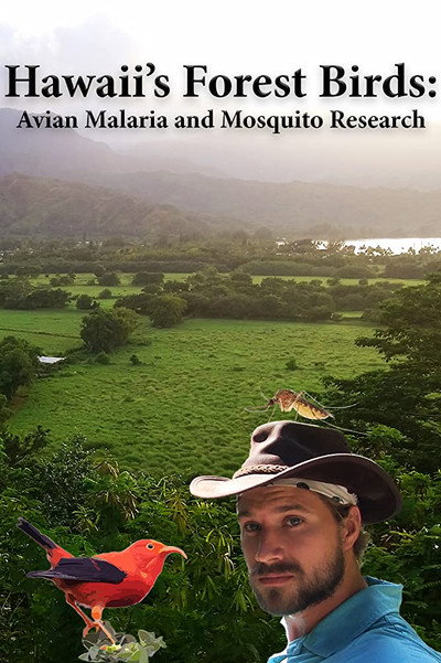 Póster de Hawaii's Forest Birds: Avian Malaria and Mosquito Research