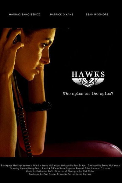 Póster de Hawks