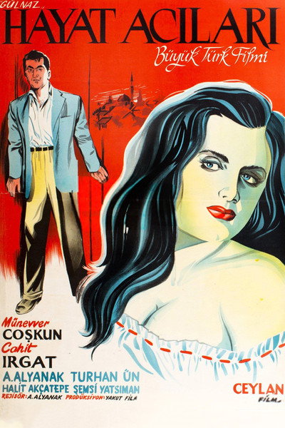 Póster de Hayat acilari