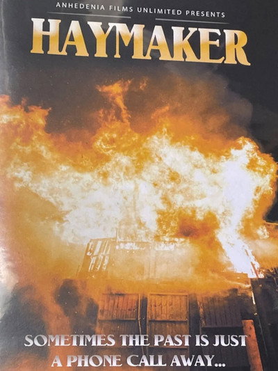 Póster de Haymaker