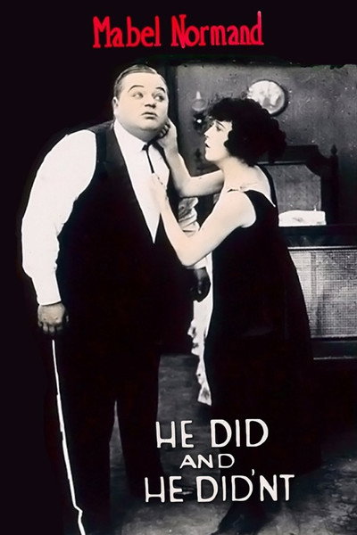 Póster de He Did and He Didn't