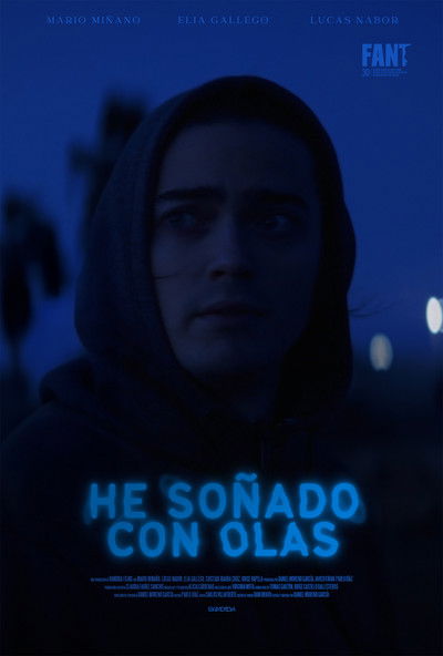 Póster de He soñado con olas