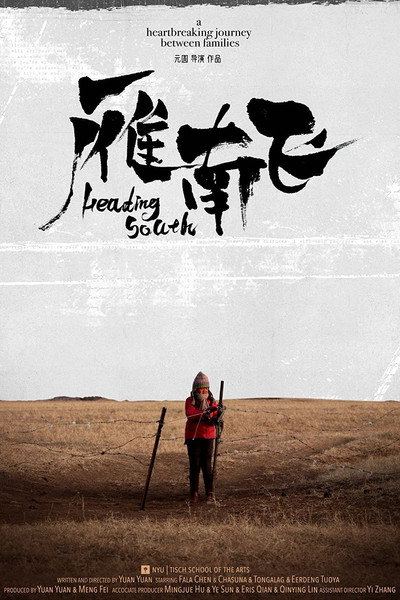 Póster de Heading South