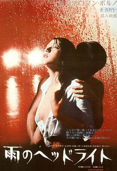 Póster de Headlights in the Rain
