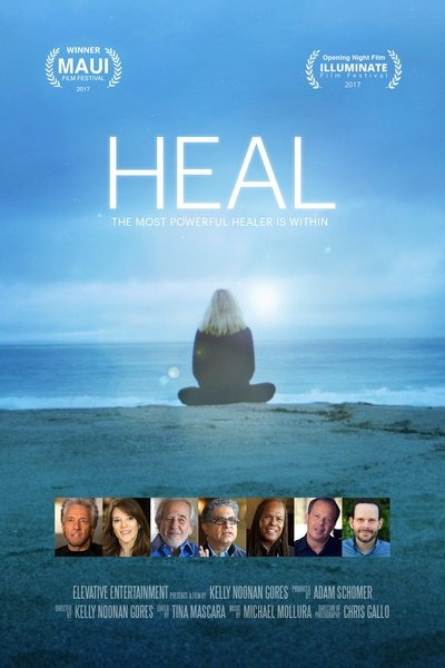 Póster de Heal
