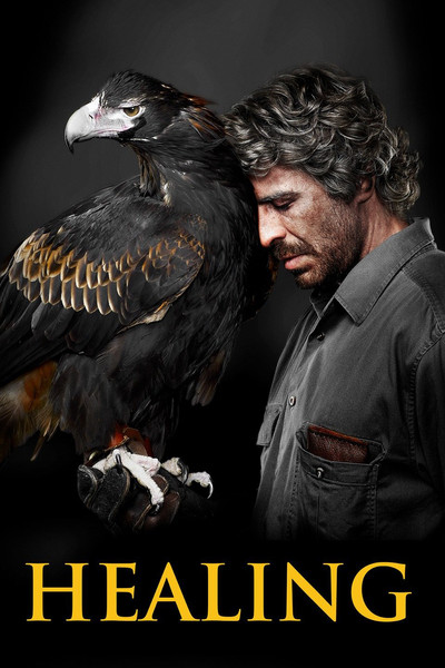 Póster de Healing