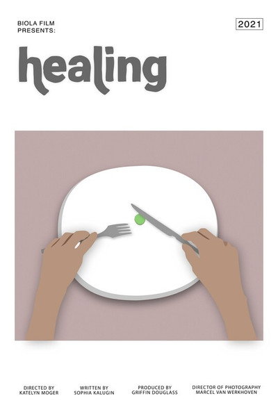 Póster de Healing