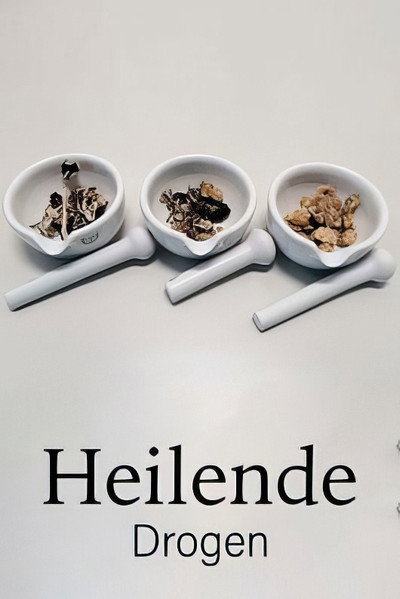 Póster de Healing Drugs