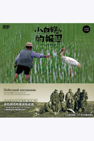Póster de Heavenly Messenger